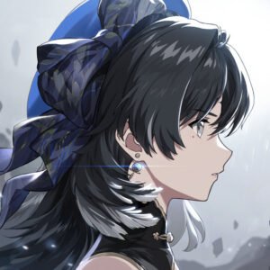 Wuthering Waves (Login)